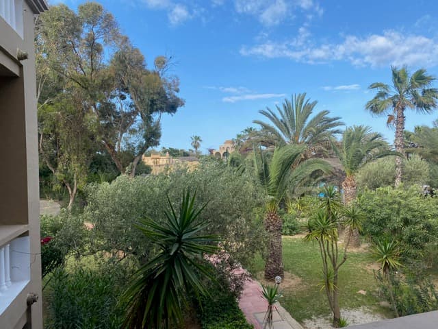 Jardin avec palmiers